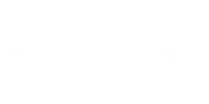 actionaid logo 300x150 all white